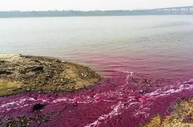 考虑买车买房,却没有考虑买健康