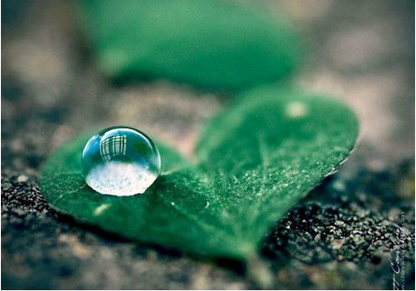 家用净水器什么牌子好